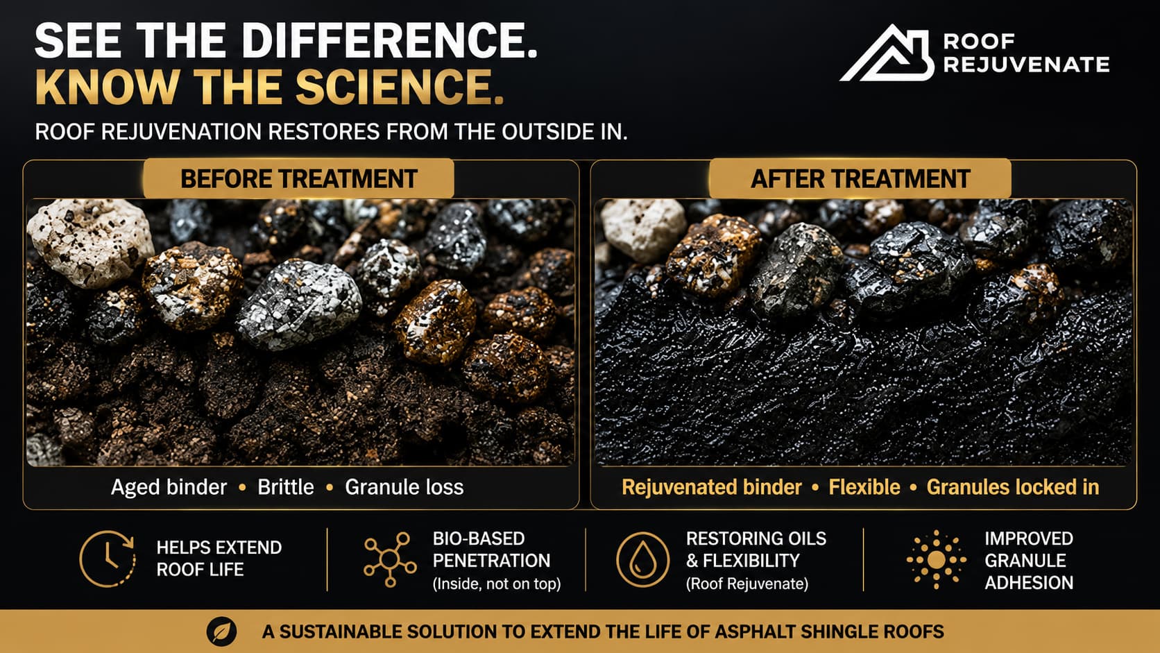 Roof Rejuvenate graphic comparing a shingle before treatment (aged binder, brittle, granule loss) with after treatment (rejuvenated binder, flexible, granules held in place)