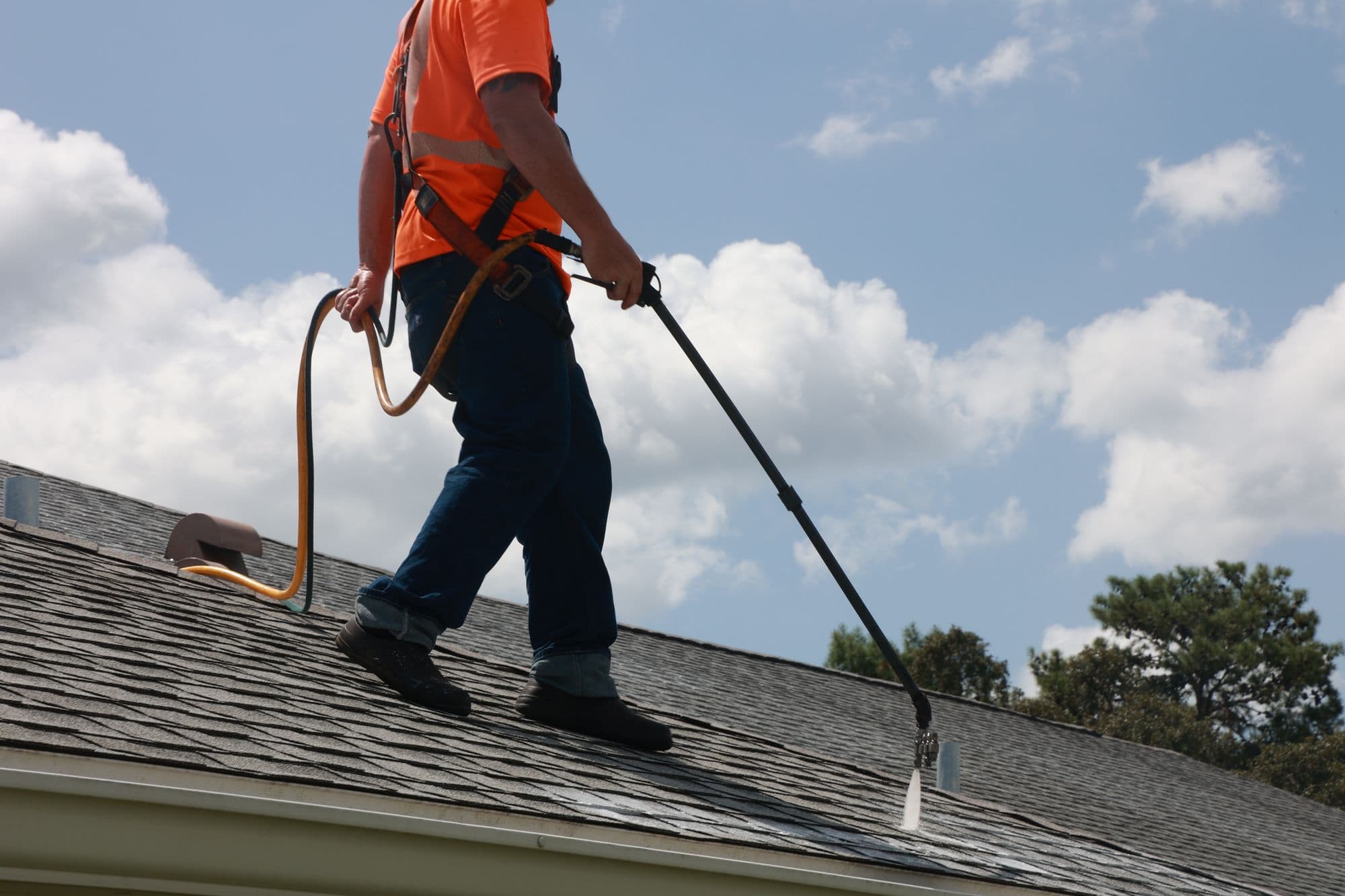 Harnessed technician walking an asphalt-shingle roof with a spray wand, treated shingles darker behind him